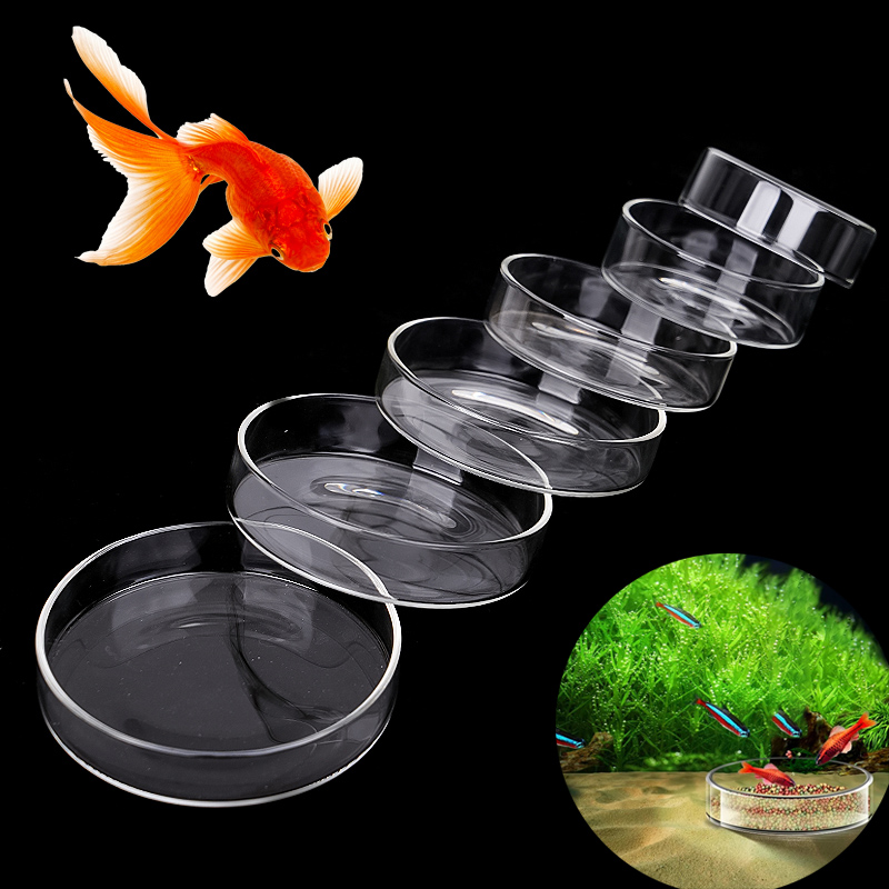 Aquarium Fish Holiday Food - Aquarium Feeding Bowl Fish Tank Feeder