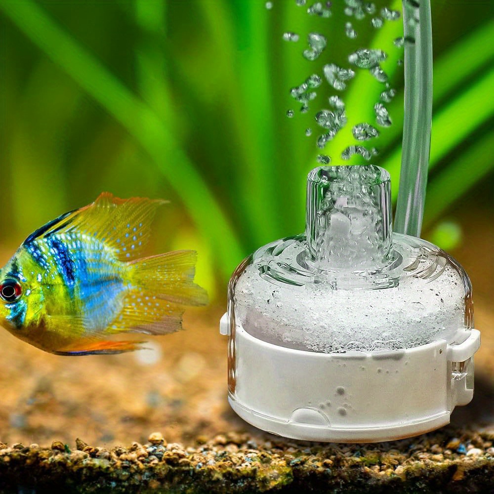 Aquarium Fish Images - Small Ultra Thin Aquarium Filter, Quiet