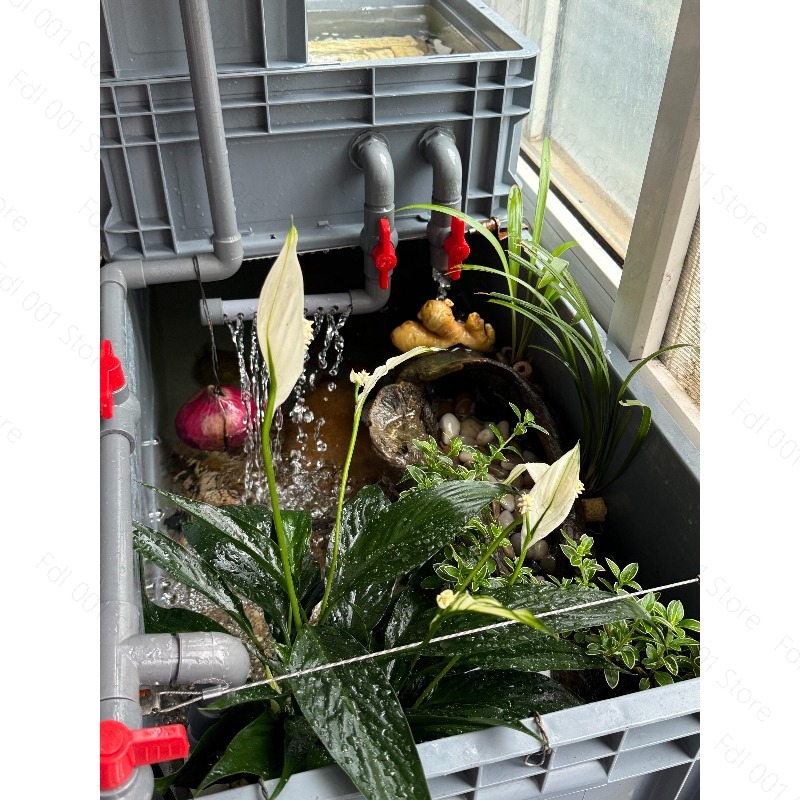 Aquarium Fish Low Maintenance - Eco Turtle Tank Filter System for