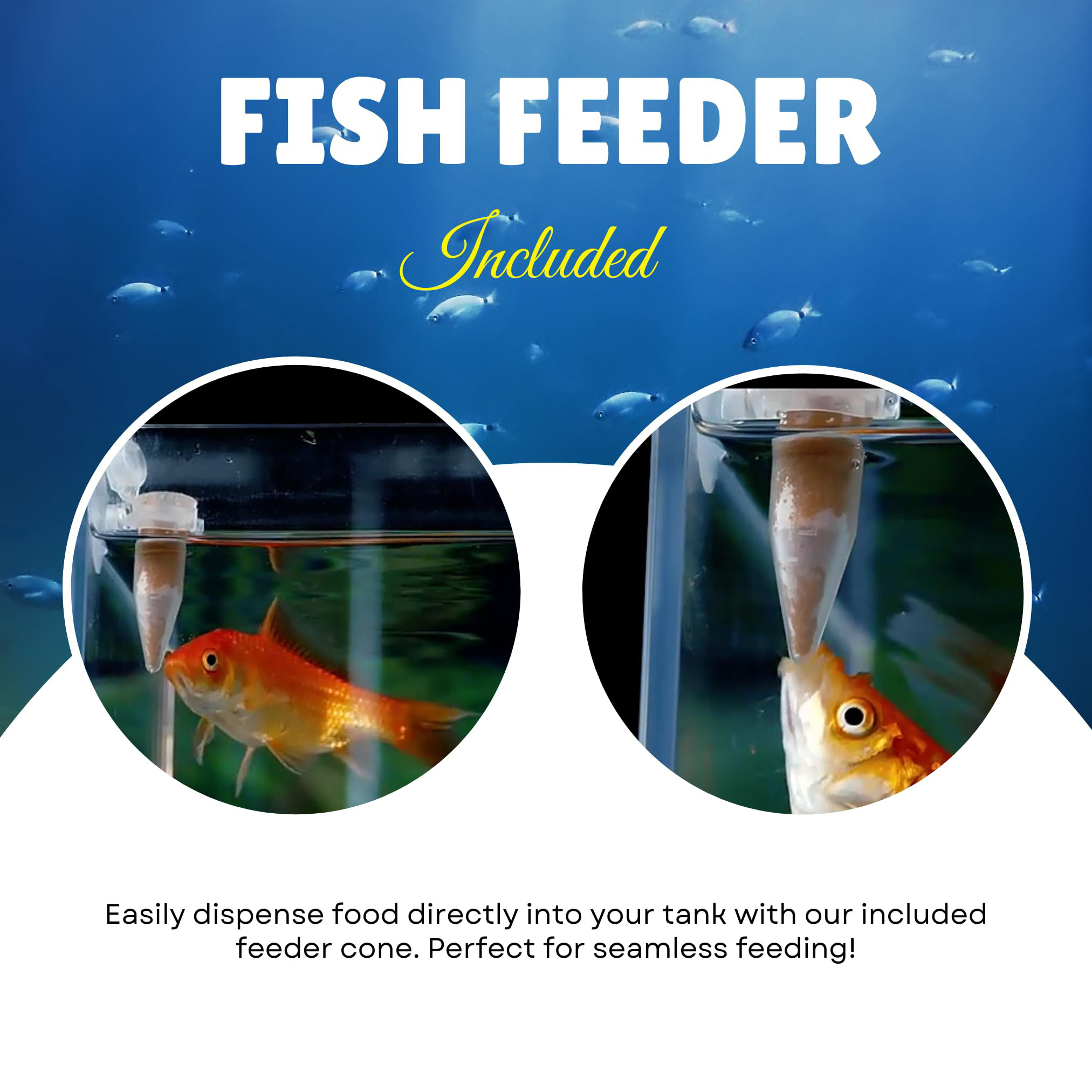 Complete Brine Shrimp Eggs & F - Aquarium Fish Holiday Food review and price