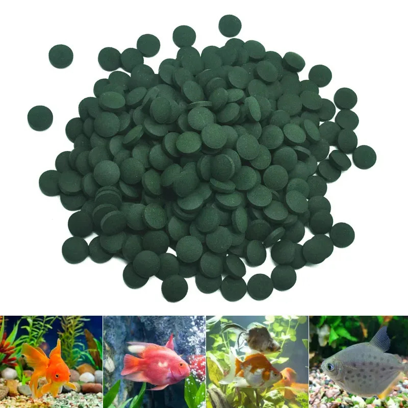 100-3000pcs High Purity Spirul - Aquarium Fish Holiday Food review and price