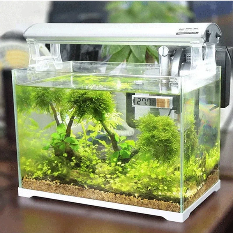Aquarium Thermometer Electroni - Aquarium Fish Uk review and price