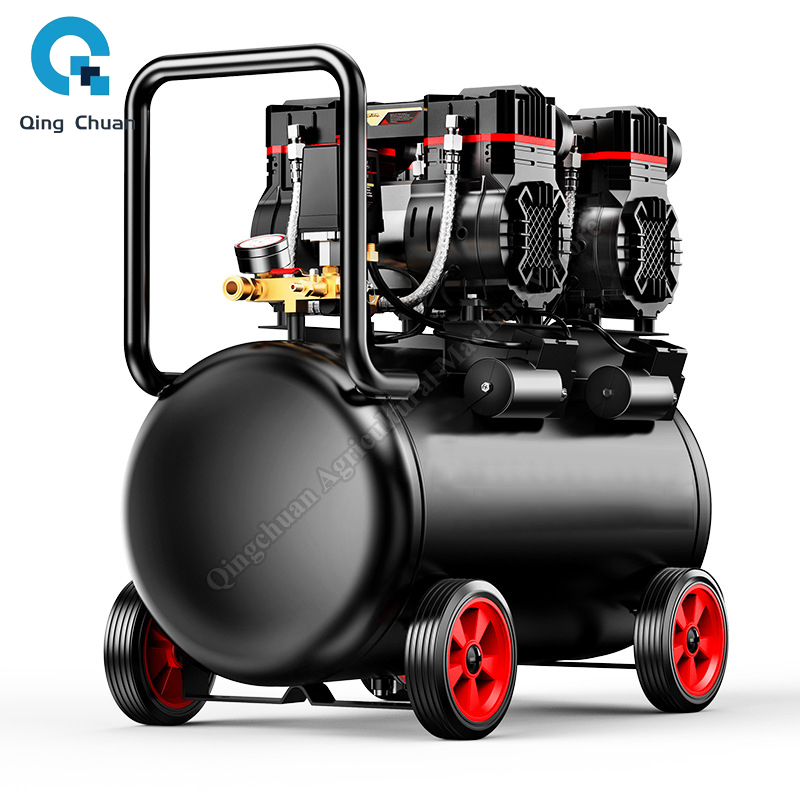 Air Compressor Small 220V 40L  - Air Pump Silent review and price