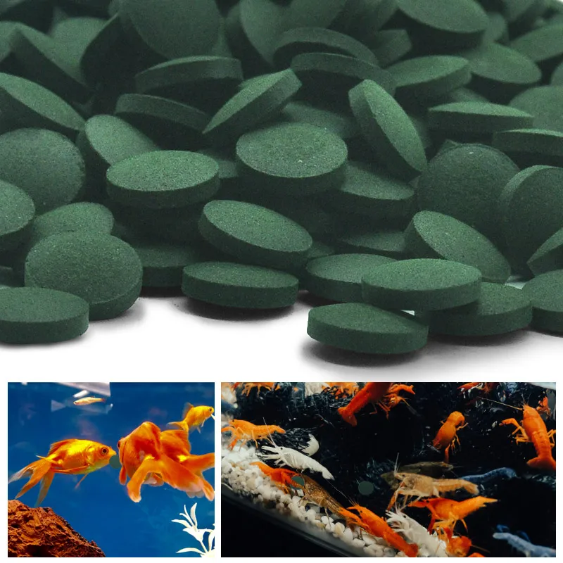 100pcs High Purity Spirulina T - Aquarium Fish Holiday Food review and price