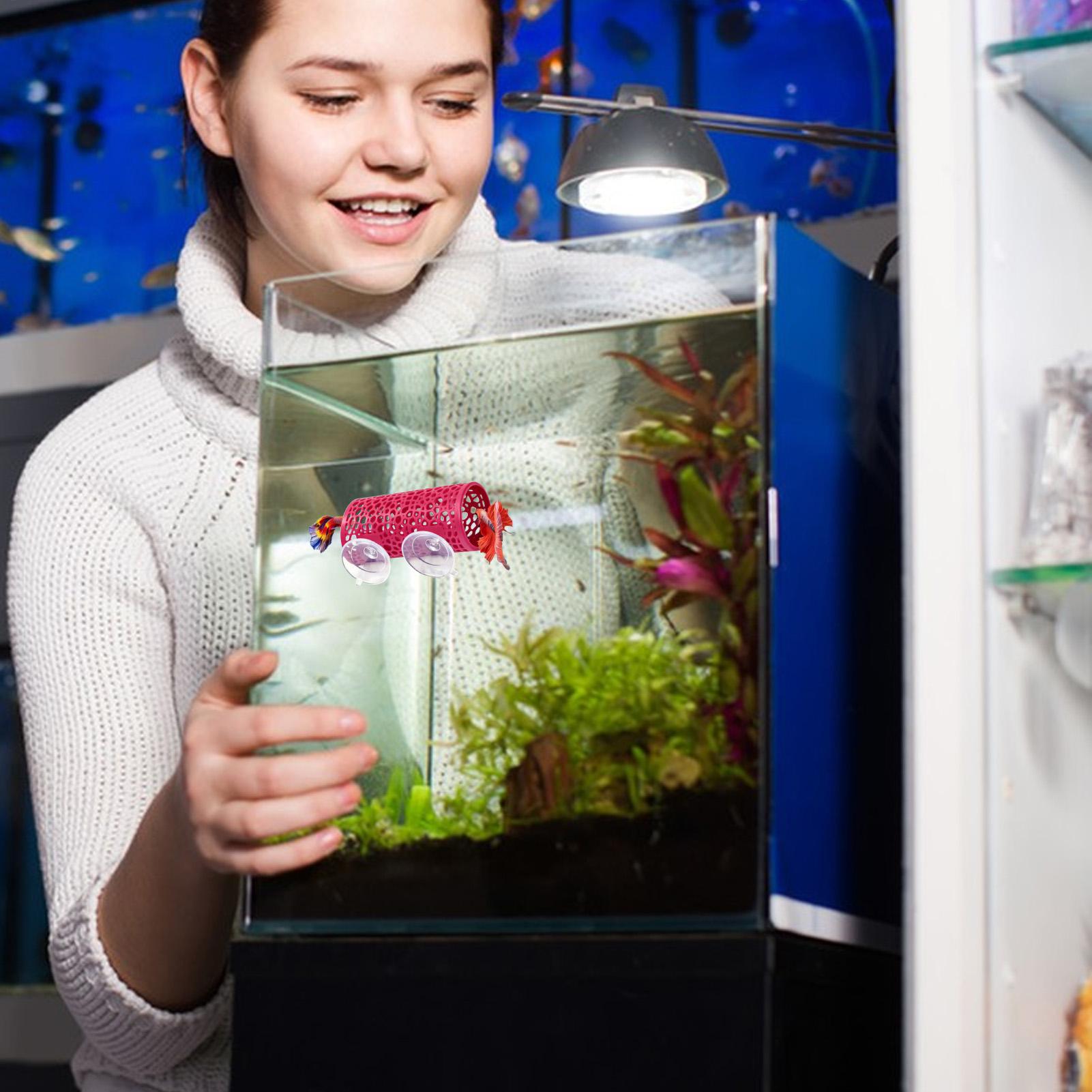 Betta Habitat Resting Shelter  - Aquarium Mini Fish review and price