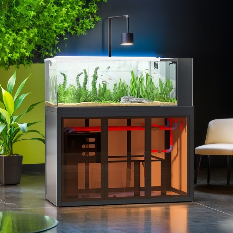 Industrial-style aquascape fis - Aquarium Fish Low Maintenance review and price