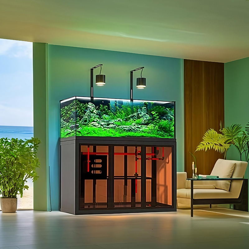 Industrial-style aquascape fis - Aquarium Fish Low Maintenance review and price