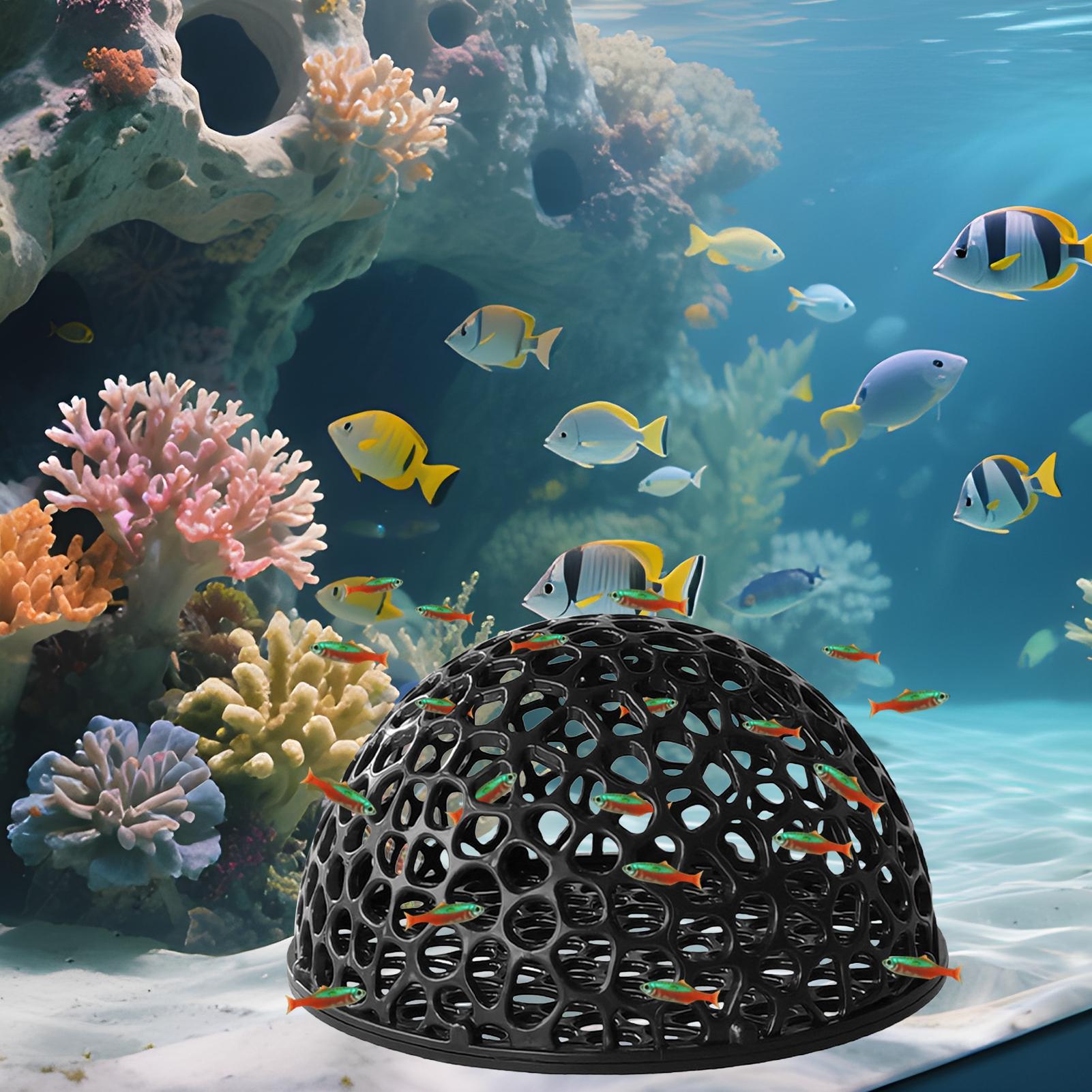 Aquarium Hiden Cave Shelter fo - Aquarium Fish Hiding Places review and price