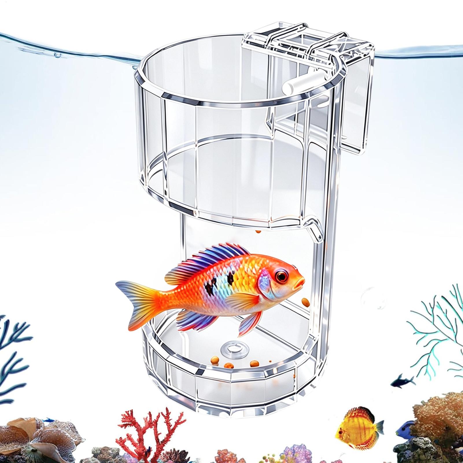 Aquarium Feeding Dish Transpar - Aquarium Fish Holiday Food review and price