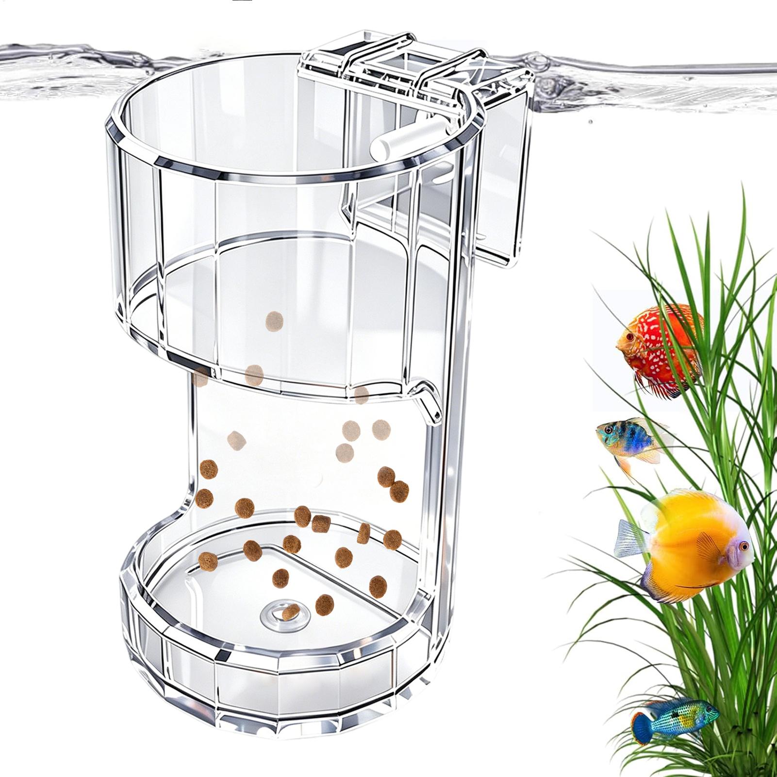 Aquarium Feeding Dish Transpar - Aquarium Fish Holiday Food review and price