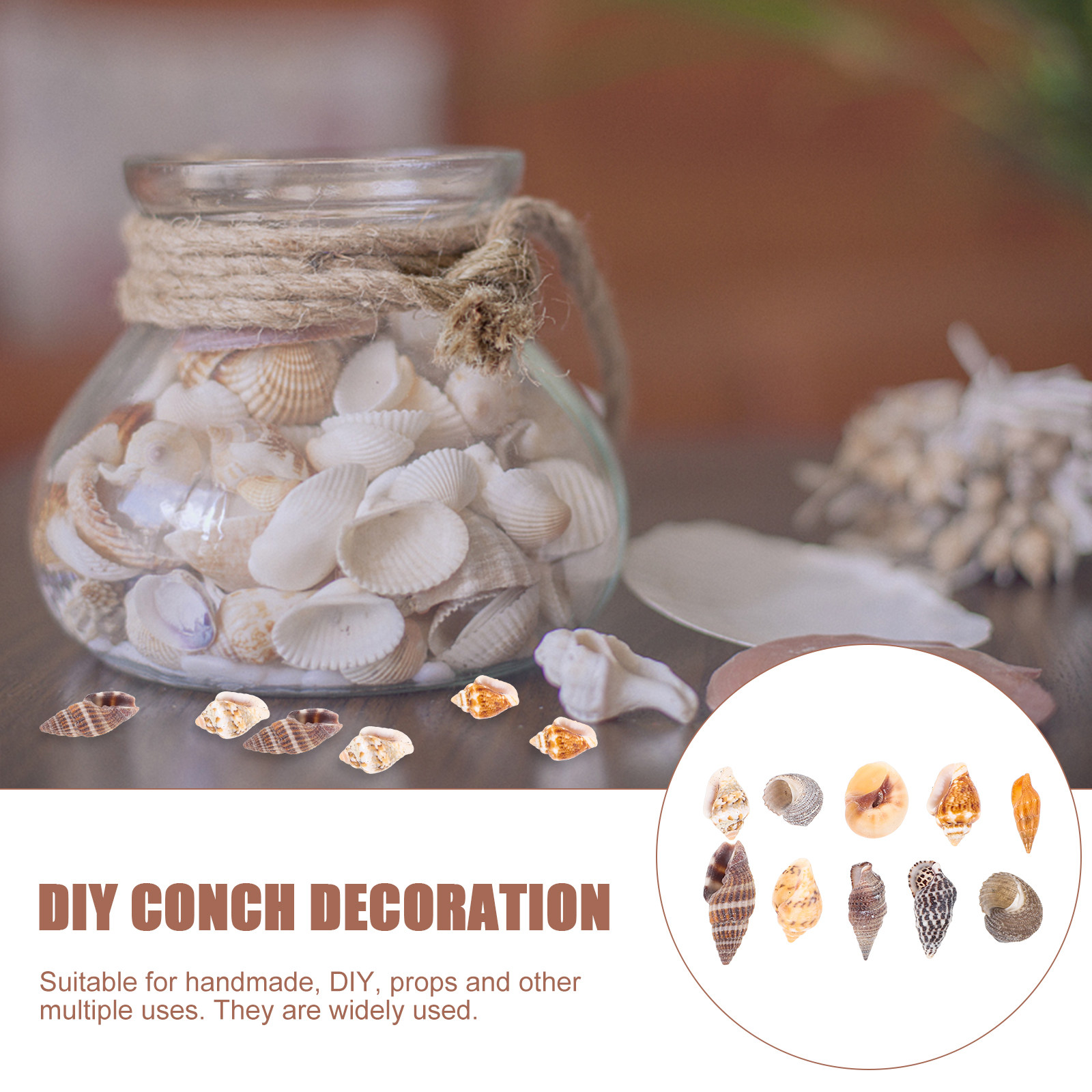 1 Box Decorative Natural Conch - Aquarium Mini Fish review and price
