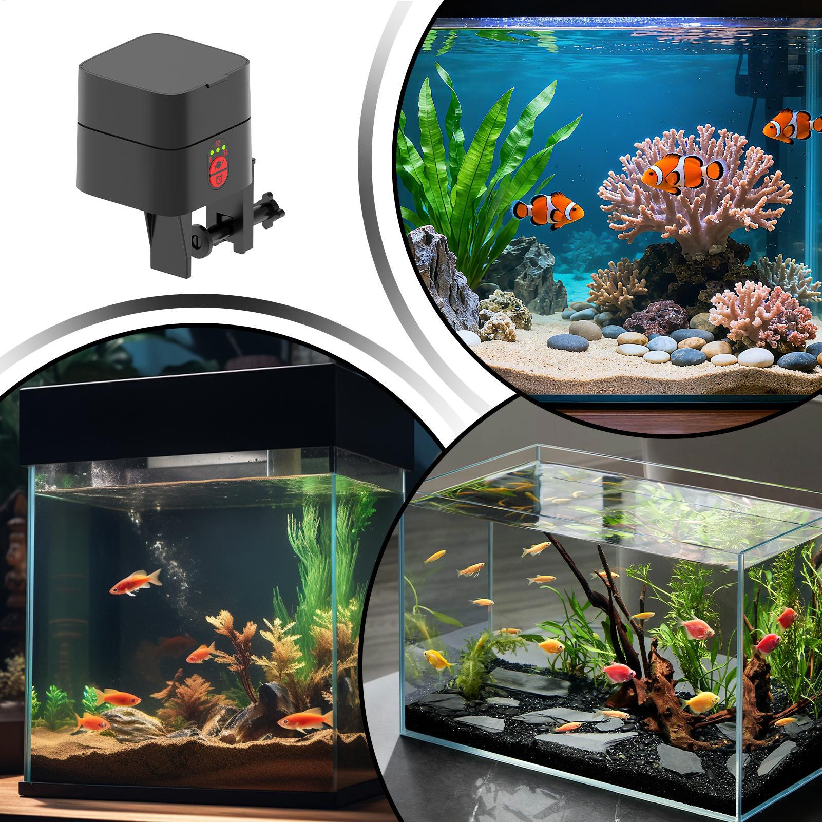 Automatic Fish Feeders Automat - Aquarium Fish Auto Feeder review and price