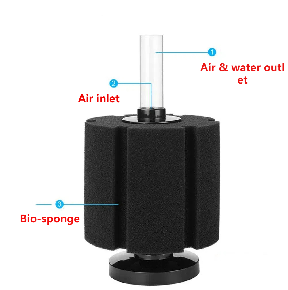 Aquarium Filter Sponge For Fis - Aquarium Fish Images review and price