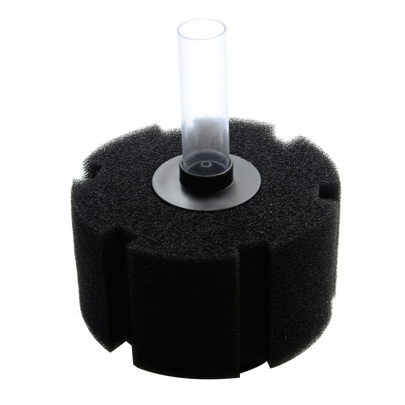 Aquarium Filter Sponge For Fis - Aquarium Fish Images review and price