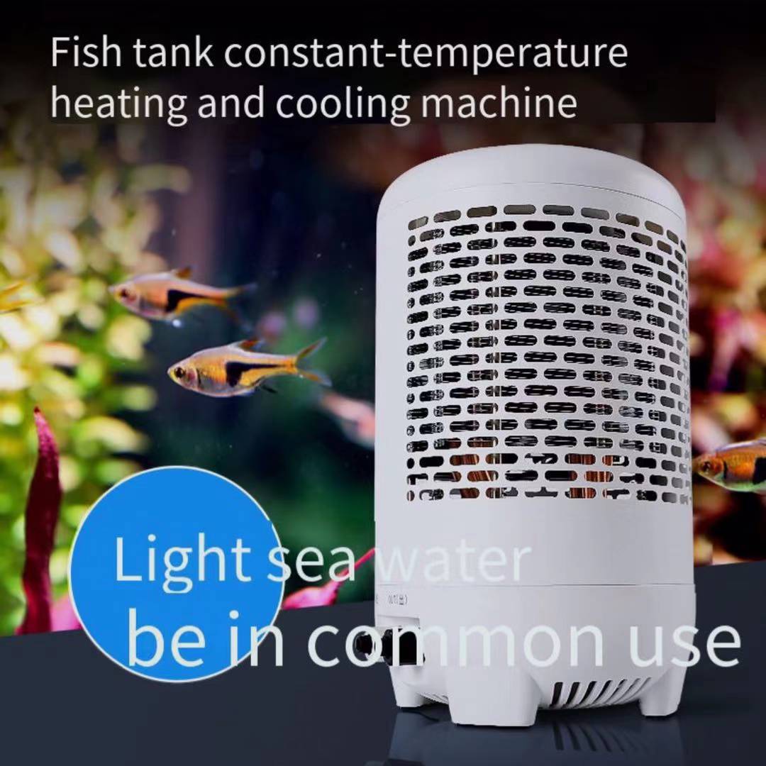Fish tank chiller jellyfish ta - Aquarium Fish Uk review and price