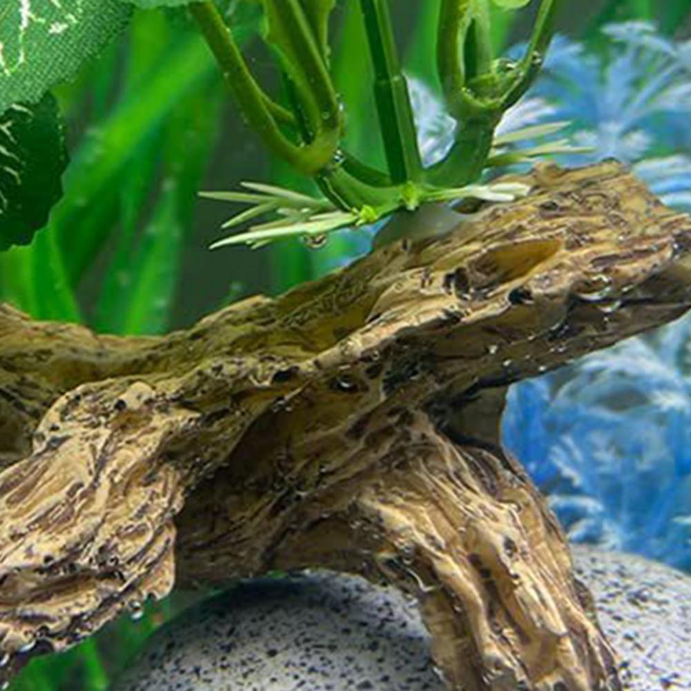 Low-maintenance Fish Tank Orna - Aquarium Fish Low Maintenance review and price