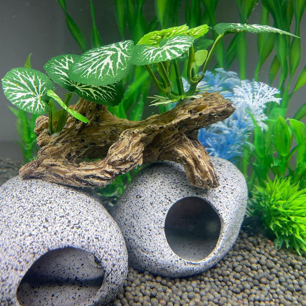 Low-maintenance Fish Tank Orna - Aquarium Fish Low Maintenance review and price