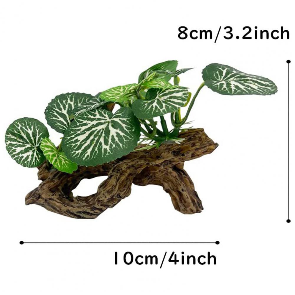 Low-maintenance Fish Tank Orna - Aquarium Fish Low Maintenance review and price