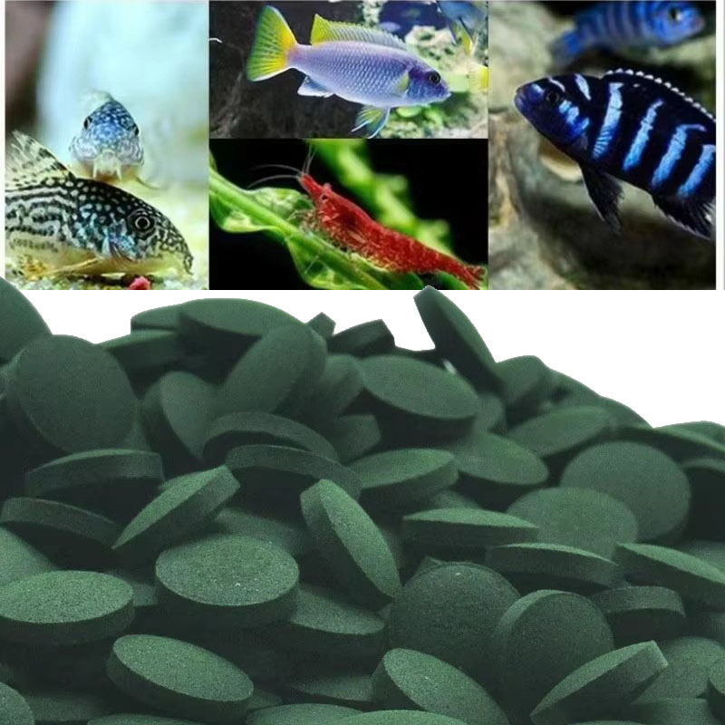 50/100/300/500pcs Spirulina Ta - Aquarium Fish Holiday Food review and price