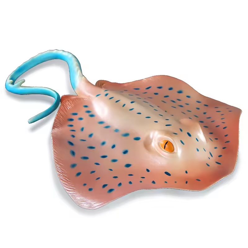Simulation Marine Animal Model - Aquarium Fish Of The World review and price