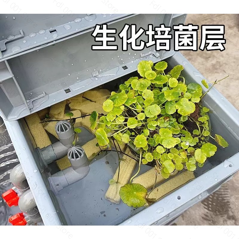 Eco Turtle Tank Filter System  - Aquarium Fish Low Maintenance review and price