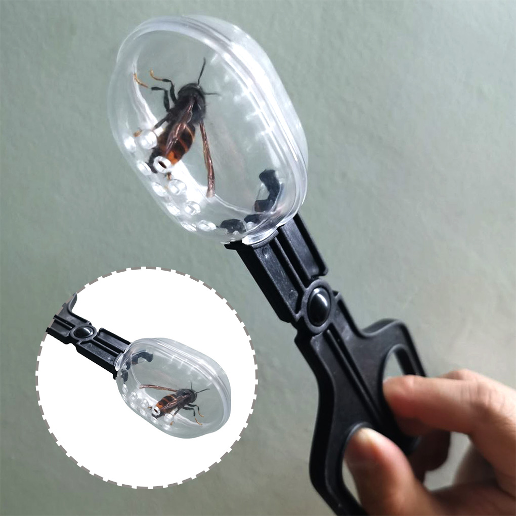 Portable Transparent Insect Ca - Aquarium Fish For Beginners review and price
