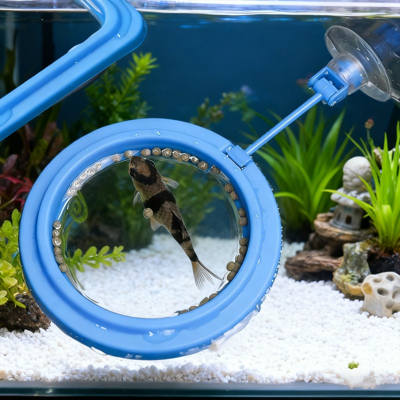 Aquarium Fish Tank Feeding Rin - Aquarium Fish Auto Feeder review and price