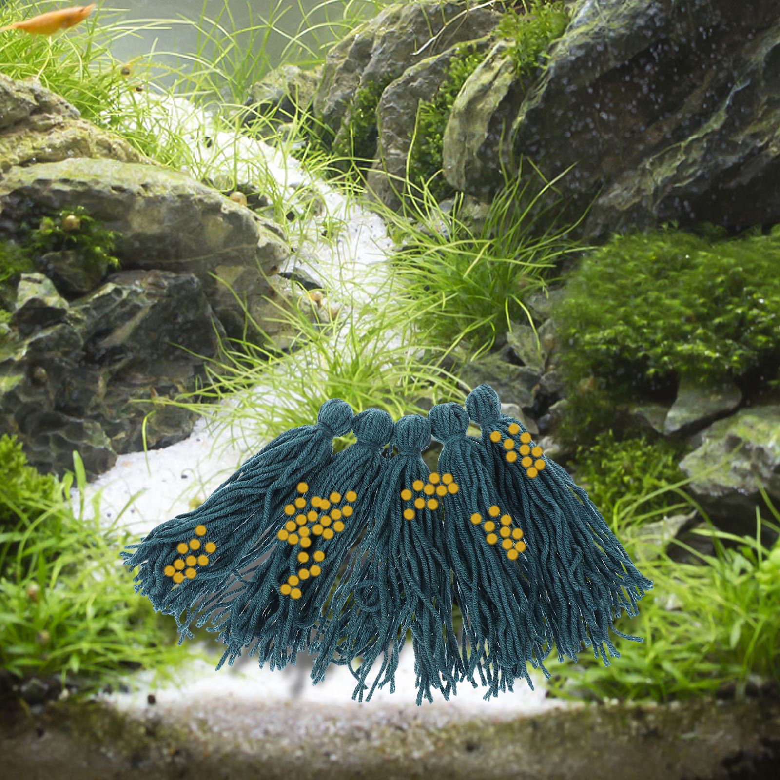 5Pcs Hatchery Spawning Mop Spa - Aquarium Fish For Beginners review and price