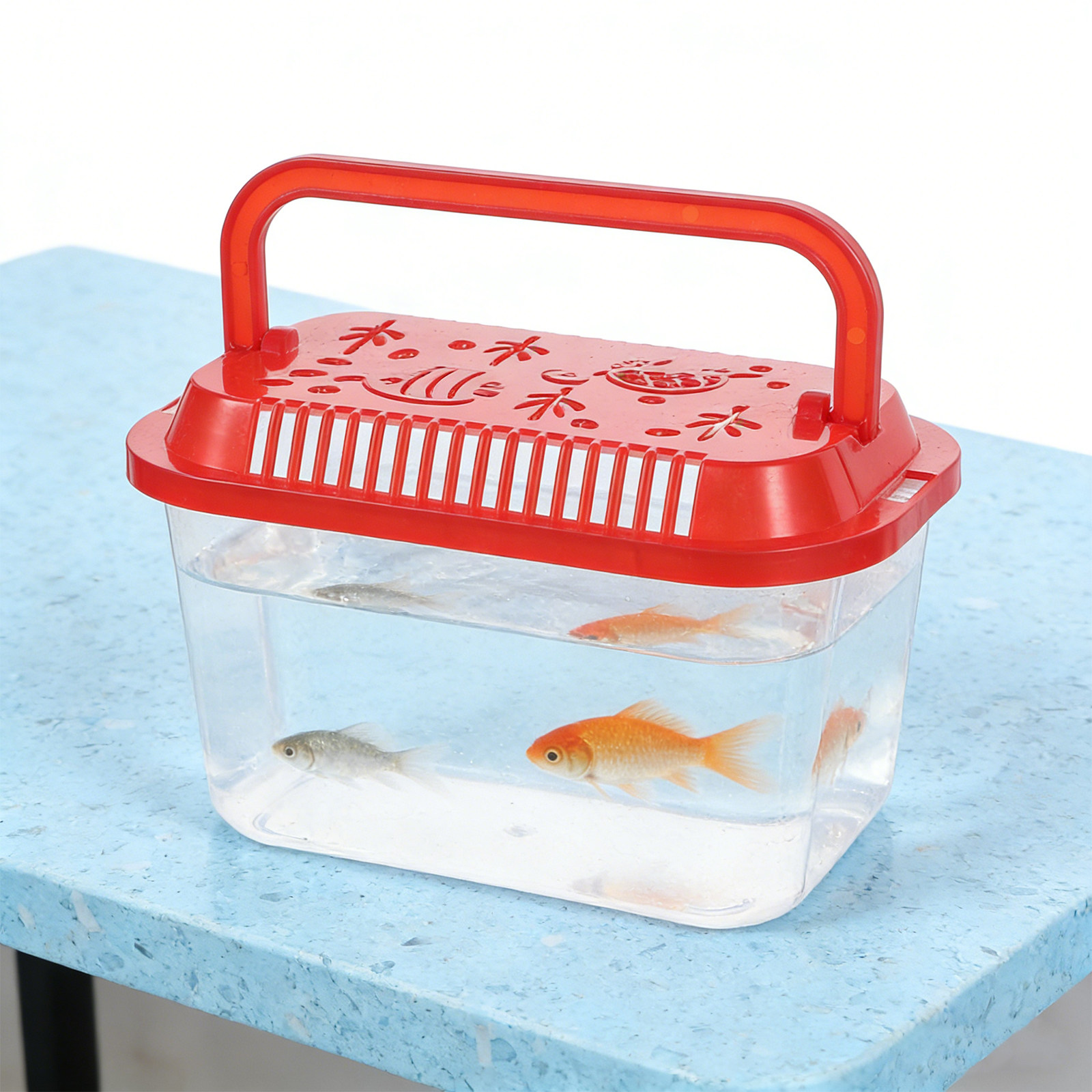 5Pcs Fish Transport Container  - Aquarium Mini Fish review and price