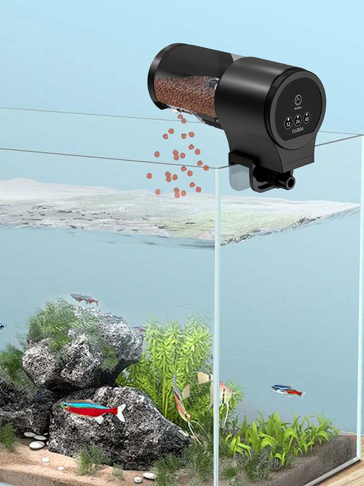 Fish Feeder Automatic 100ml Ca - Aquarium Fish Auto Feeder review and price