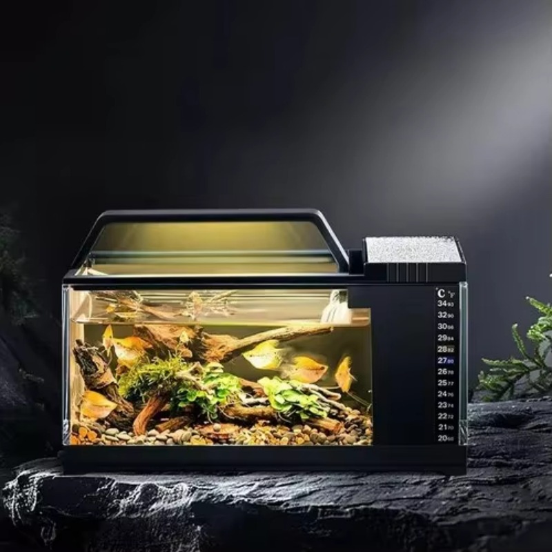 South American Style Aquarium  - Aquarium Fish Low Maintenance review and price