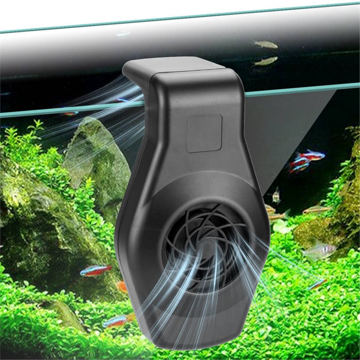 Big Discount Mini Aquarium Chi - Aquarium Fish Uk review and price