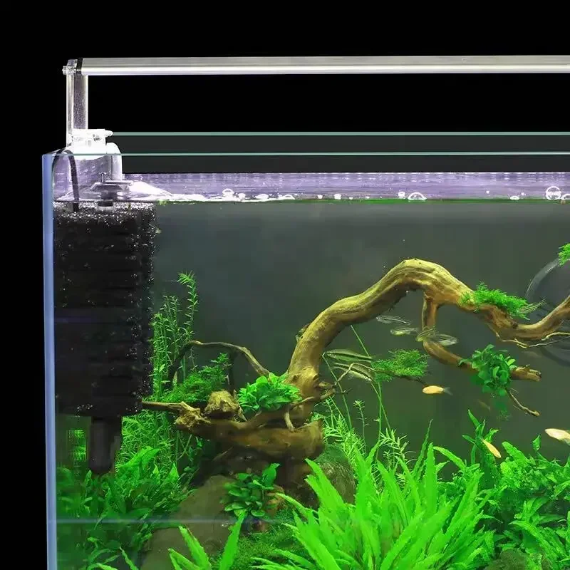 3-IN-1 Clip on Electric Power  - Aquarium Fish Images review and price
